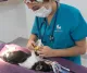 Gayndah Veterinary Surgery