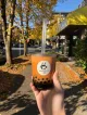 17℃ Bubble Tea & Dessert Café