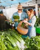 The Market at Burleigh Falls