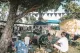 The Market at Burleigh Falls