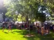 Downtown Growers Market