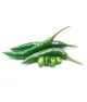 Green Chilli