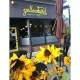 YellowBird Coffee