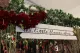 The Little Flower Shoppe