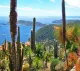 Cave Riviera