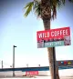 Wild Coffee