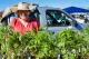 Kiewa Street Market