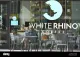 White Rhino Coffee