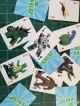 Kaiju Cards