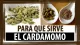 Cardamomo - Comidas vegetarianas y veganas