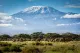 Kilimanjaro