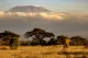 Kilimanjaro