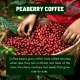 Peaberrys Coffee Roasters