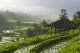 Bali Buda Ubud