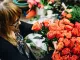 Blumen Cech