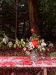 Blumen Cech