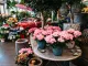 Blumen Cech