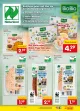 Netto Marken-Discount