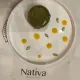 Nativa Ristorante