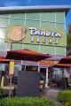 Panera Bread