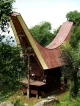 Toraja House