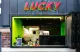 The Lucky Dhaba