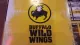 Buffalo Wild Wings