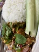 May Veggie Home