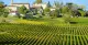 Auberge Les Vignes