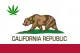 California Street Cannabis Co.