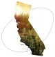 California Street Cannabis Co.