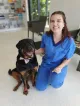 Cairns Veterinary Clinic