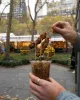 Ezan Satay