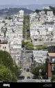 Telegraph Hill Books