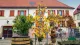 Weingut Alois Hayna und Sohn