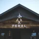 Feral Mountain Co