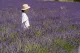 Blooming Day