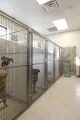 Old Town Animal Care Center