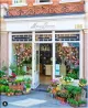 Flowers In The Window