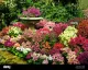 Flowers In The Window