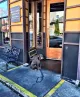 Barking Dog Alehouse