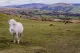 Brecon Beacons Visitor Centre Cafe