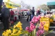 Bay of Islands Farmers Market