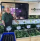 Bay of Islands Farmers Market