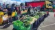 Bay of Islands Farmers Market