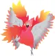 The Flaming Galah