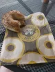 Einstein Bros. Bagels