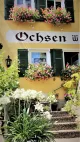 Gasthaus Ochsen