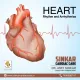 Sinkar Cardiac Care