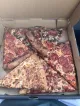 Yummy Slice Pizza